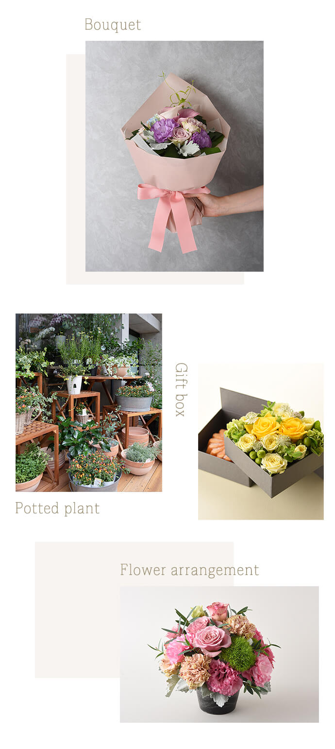 Gift box, Flower arrangement, Bonquet, Potted plant