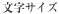 文字サイズ