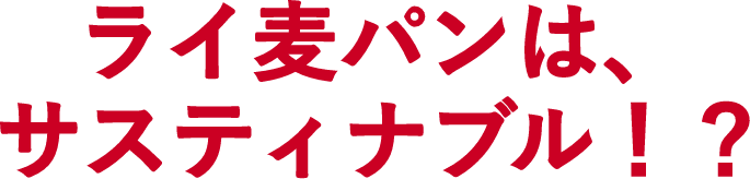 ライ麦パンは、サスティナブル!?