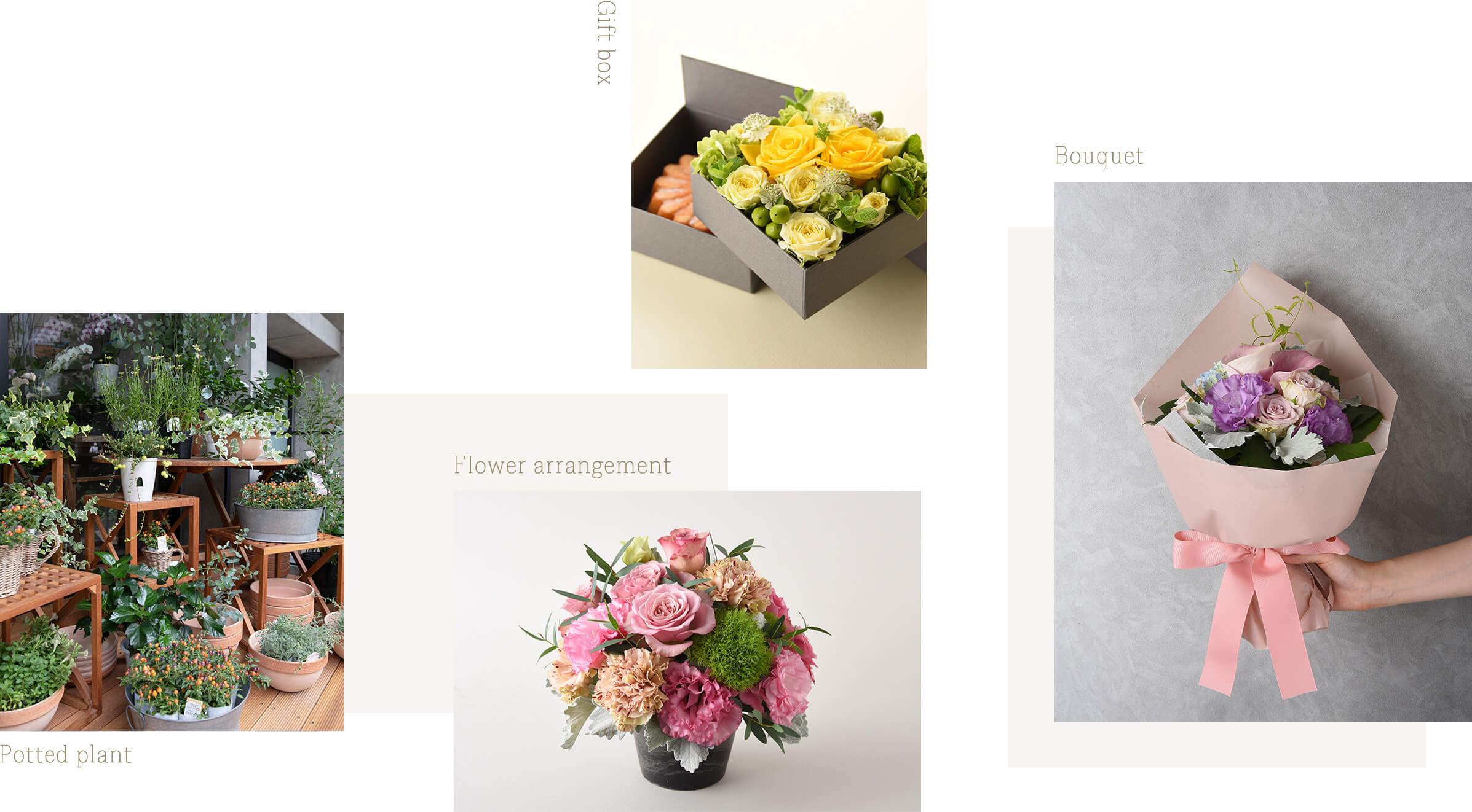 Gift box, Flower arrangement, Bonquet, Potted plant